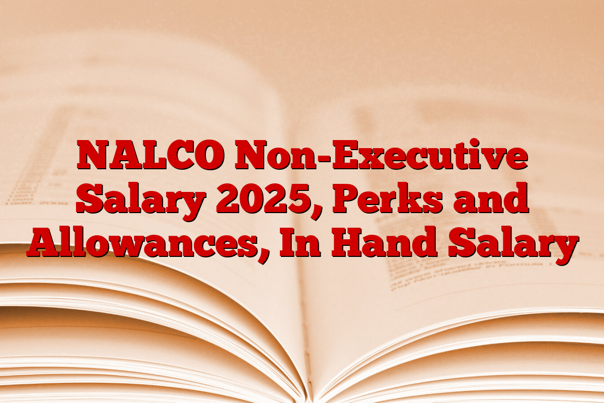 NALCO Non-Executive Salary 2025, Perks and Allowances, In Hand Salary
