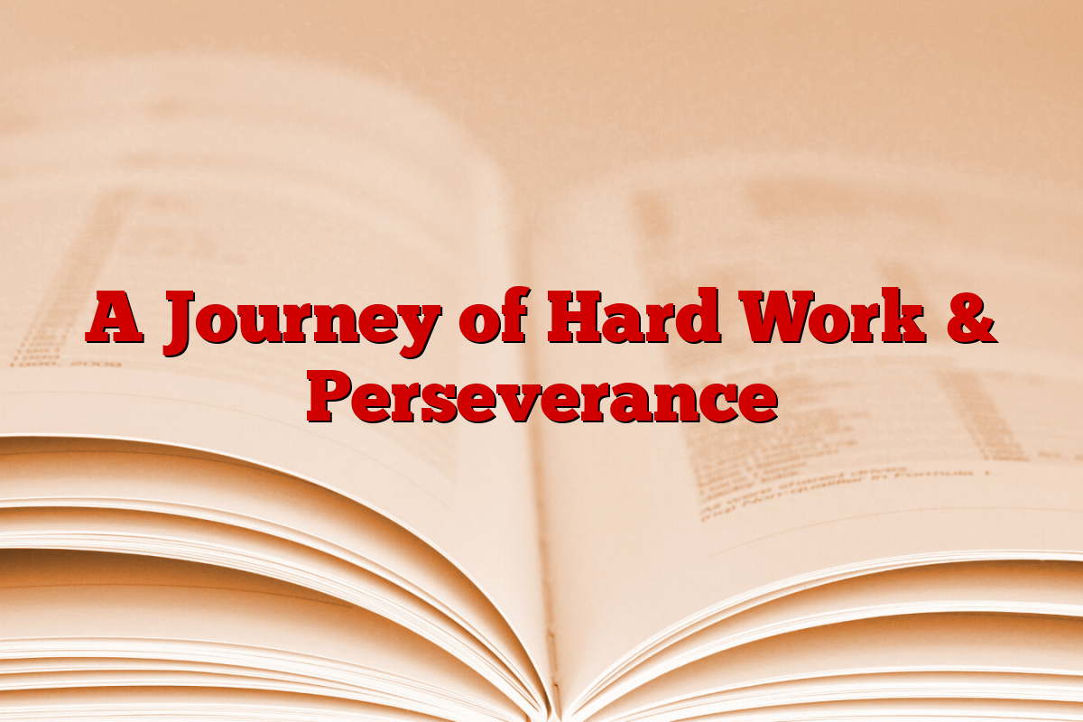 A Journey of Hard Work & Perseverance