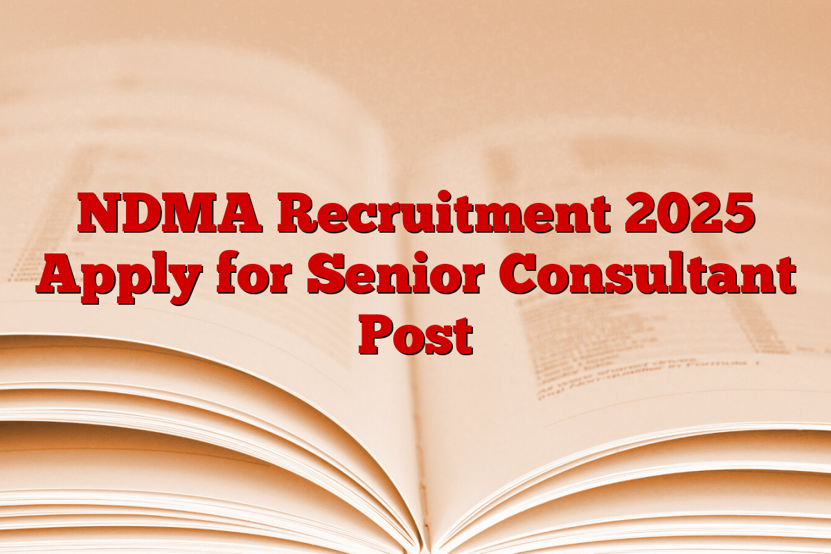 NDMA Recruitment 2025 Apply for Senior Consultant Post