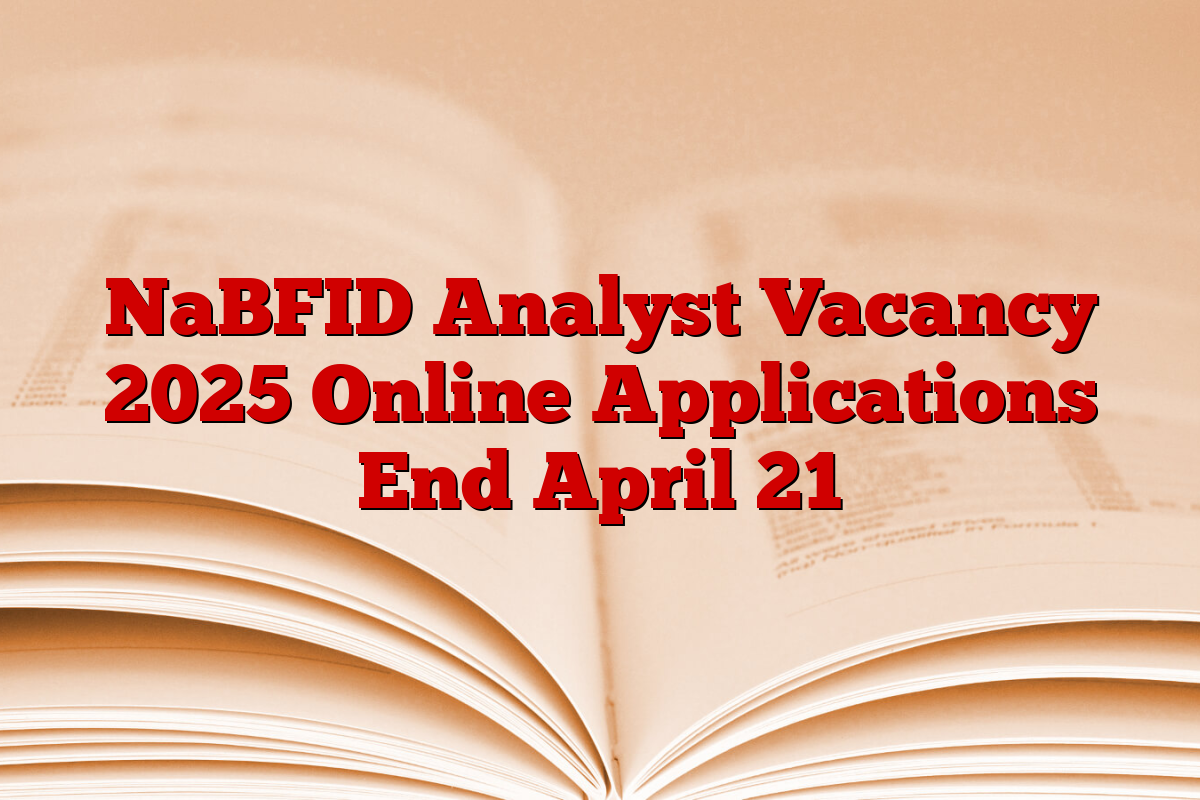 NaBFID Analyst Vacancy 2025 Online Applications End April 21